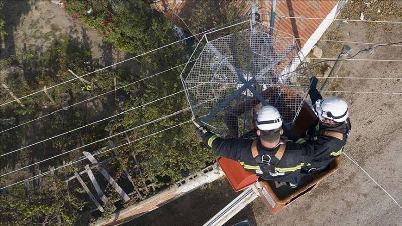 Turkey: Nests ready for migratory birds’ return