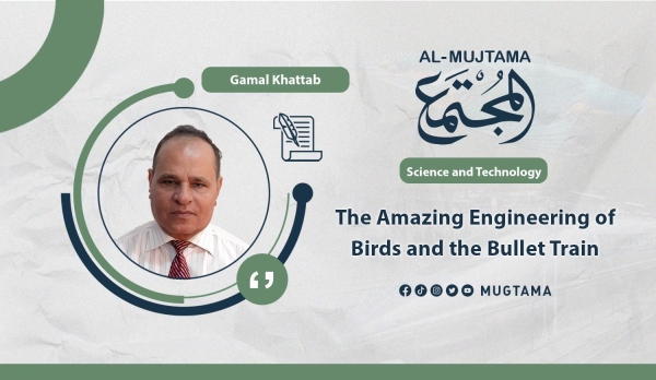 The Amazing Engineering of Birds and the Bullet Train