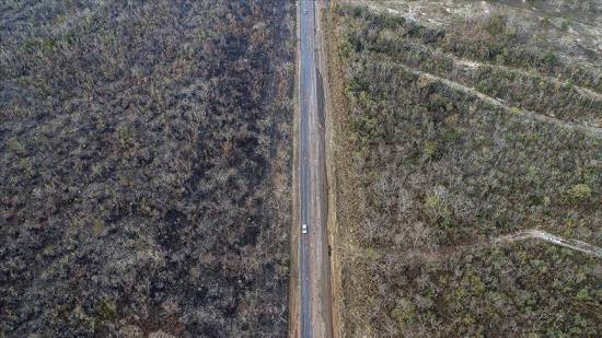 Deforestation in Amazon rainforest exceeds 11,000 km²