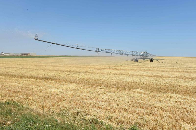 Crop losses due to heat and drought tripled in 50 years: study